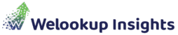 welookup insights unlocking growth through analytics